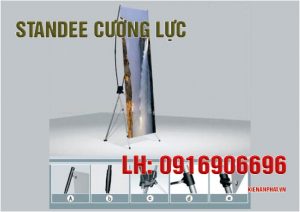 in standee cường lực