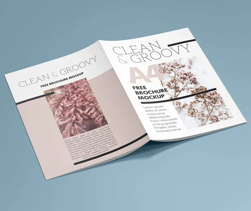 In catalogue