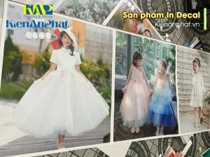 Mẫu sản phẩm In Decal nhựa tại Kiến An Phát